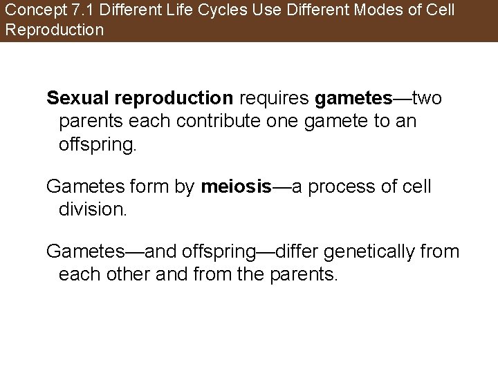 Concept 7. 1 Different Life Cycles Use Different Modes of Cell Reproduction Sexual reproduction