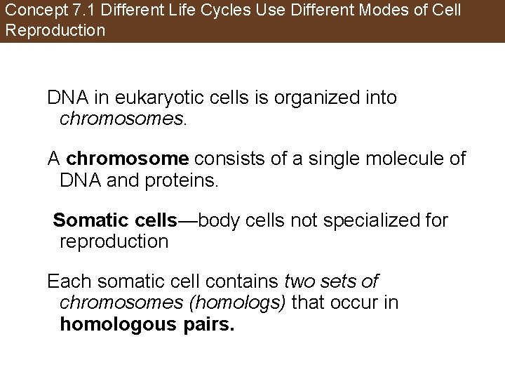 Concept 7. 1 Different Life Cycles Use Different Modes of Cell Reproduction DNA in