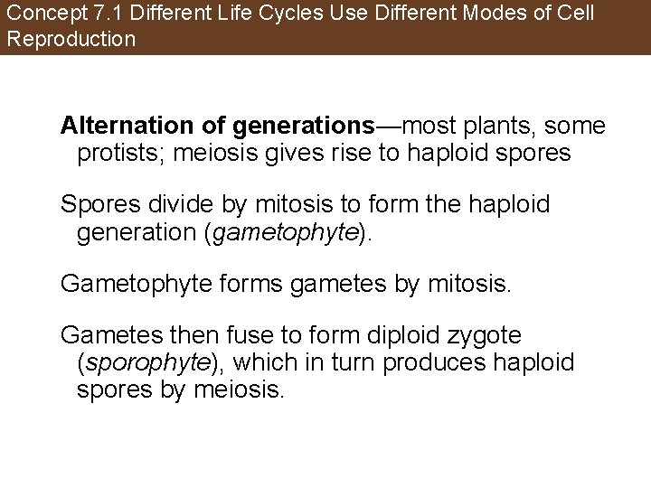 Concept 7. 1 Different Life Cycles Use Different Modes of Cell Reproduction Alternation of