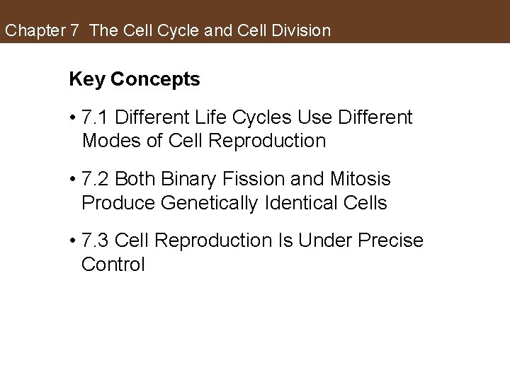 Chapter 7 The Cell Cycle and Cell Division Key Concepts • 7. 1 Different