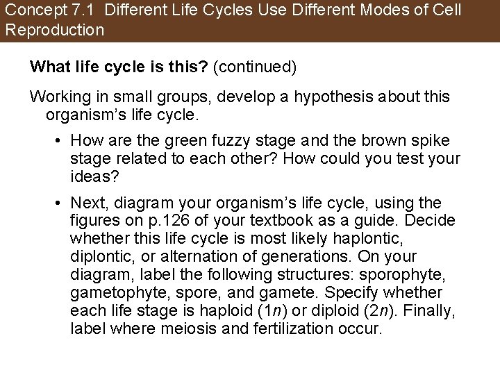 Concept 7. 1 Different Life Cycles Use Different Modes of Cell Reproduction What life