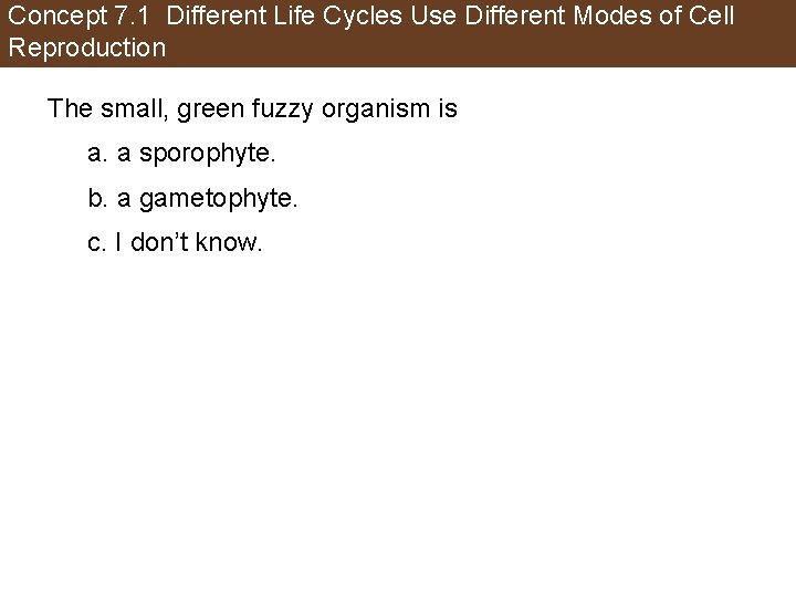 Concept 7. 1 Different Life Cycles Use Different Modes of Cell Reproduction The small,