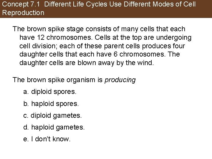 Concept 7. 1 Different Life Cycles Use Different Modes of Cell Reproduction The brown