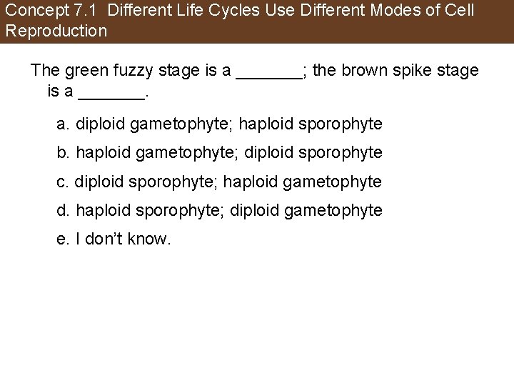 Concept 7. 1 Different Life Cycles Use Different Modes of Cell Reproduction The green