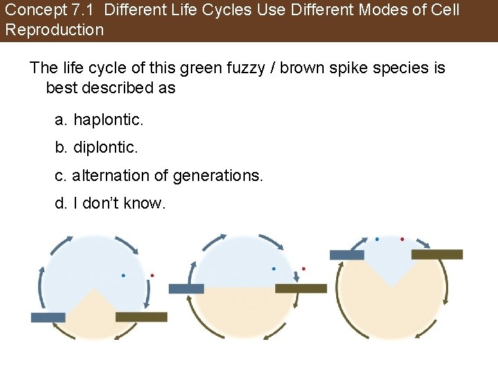 Concept 7. 1 Different Life Cycles Use Different Modes of Cell Reproduction The life