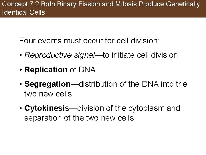 Concept 7. 2 Both Binary Fission and Mitosis Produce Genetically Identical Cells Four events