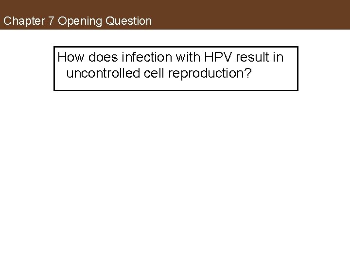 Chapter 7 Opening Question How does infection with HPV result in uncontrolled cell reproduction?