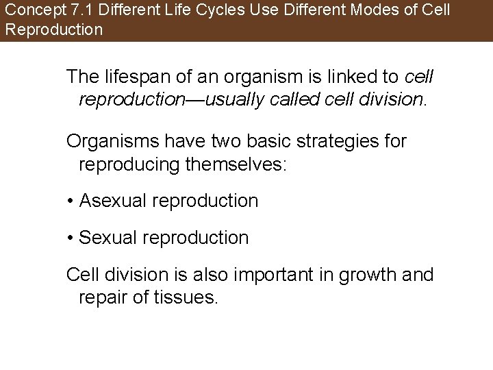 Concept 7. 1 Different Life Cycles Use Different Modes of Cell Reproduction The lifespan