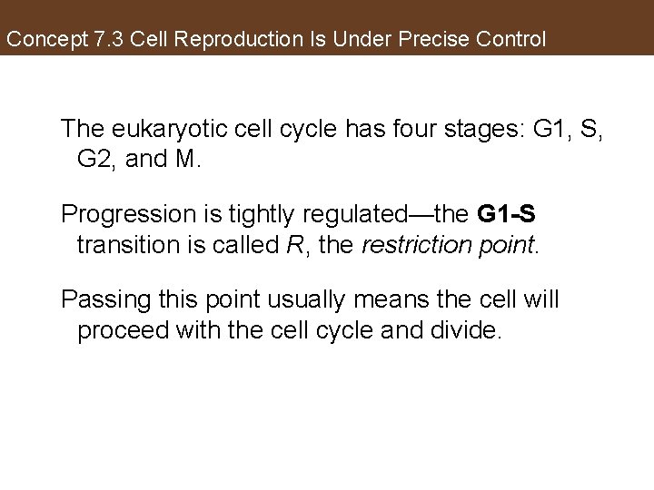 Concept 7. 3 Cell Reproduction Is Under Precise Control The eukaryotic cell cycle has