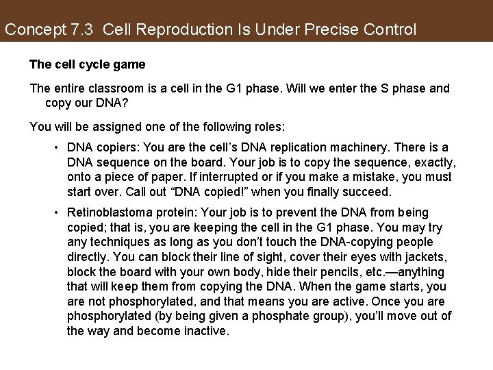 Concept 7. 3 Cell Reproduction Is Under Precise Control The cell cycle game The