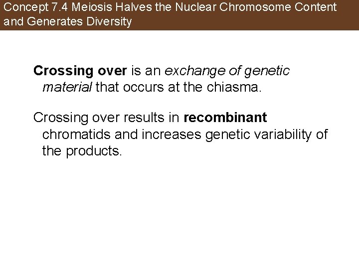 Concept 7. 4 Meiosis Halves the Nuclear Chromosome Content and Generates Diversity Crossing over