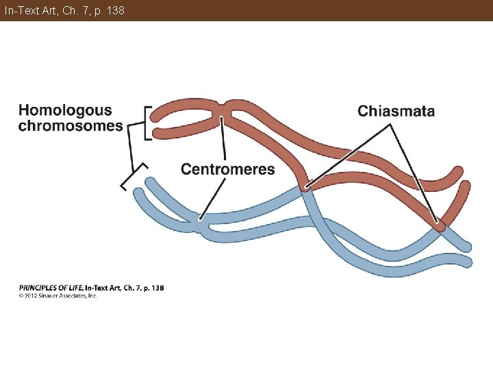 In-Text Art, Ch. 7, p. 138 