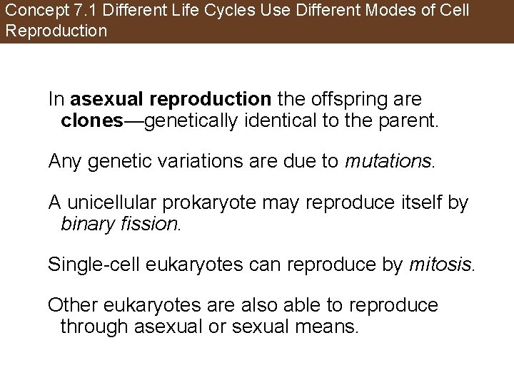 Concept 7. 1 Different Life Cycles Use Different Modes of Cell Reproduction In asexual