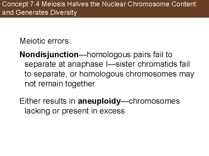 Concept 7. 4 Meiosis Halves the Nuclear Chromosome Content and Generates Diversity Meiotic errors: