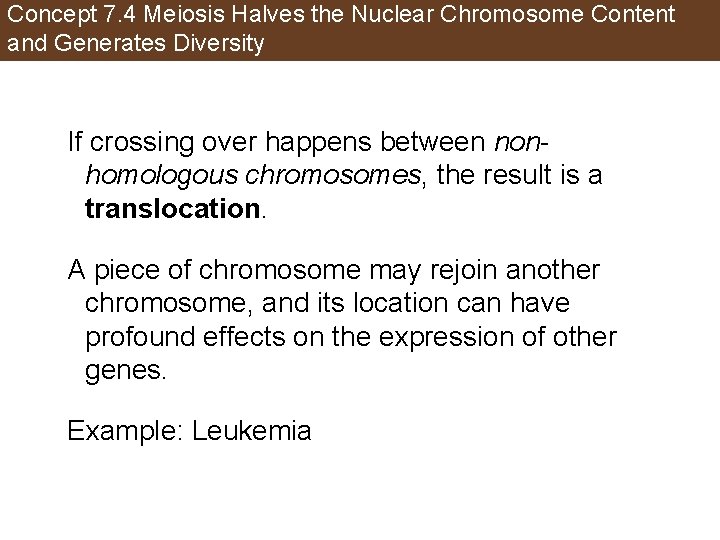Concept 7. 4 Meiosis Halves the Nuclear Chromosome Content and Generates Diversity If crossing