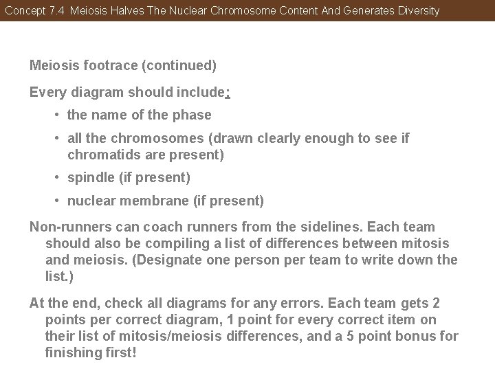Concept 7. 4 Meiosis Halves The Nuclear Chromosome Content And Generates Diversity Meiosis footrace
