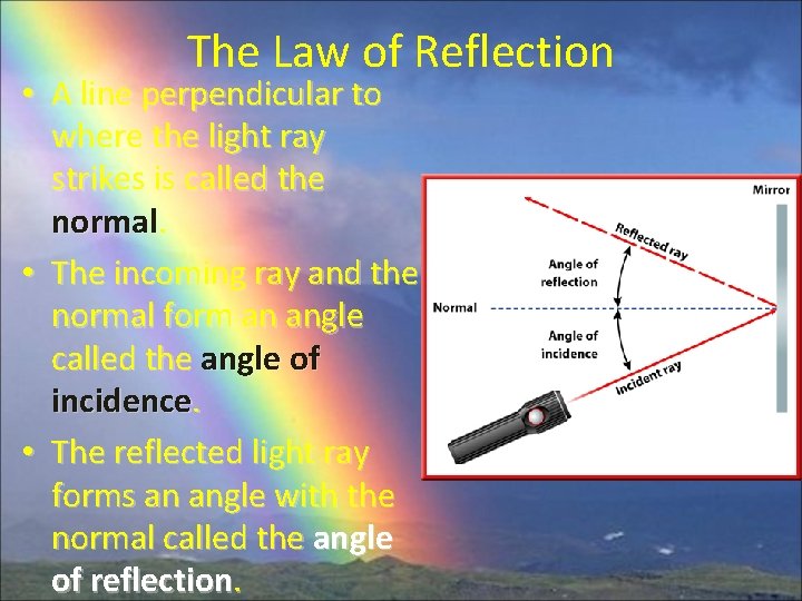 The Law of Reflection • A line perpendicular to where the light ray strikes