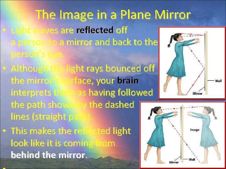 The Image in a Plane Mirror • Light waves are reflected off a person