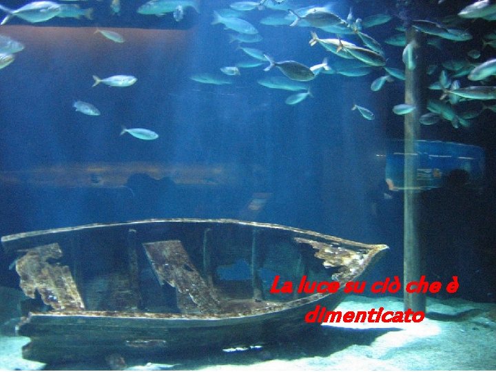 La luce su ciò che è dimenticato 