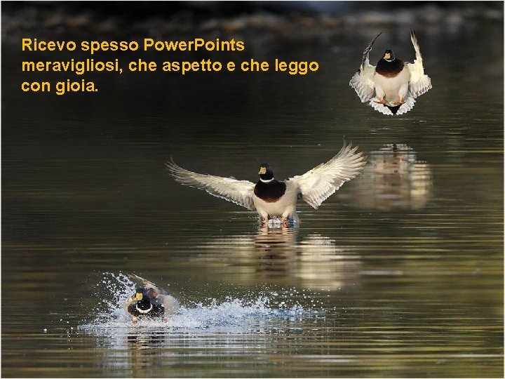 Ricevo spesso Power. Points meravigliosi, che aspetto e che leggo con gioia. 
