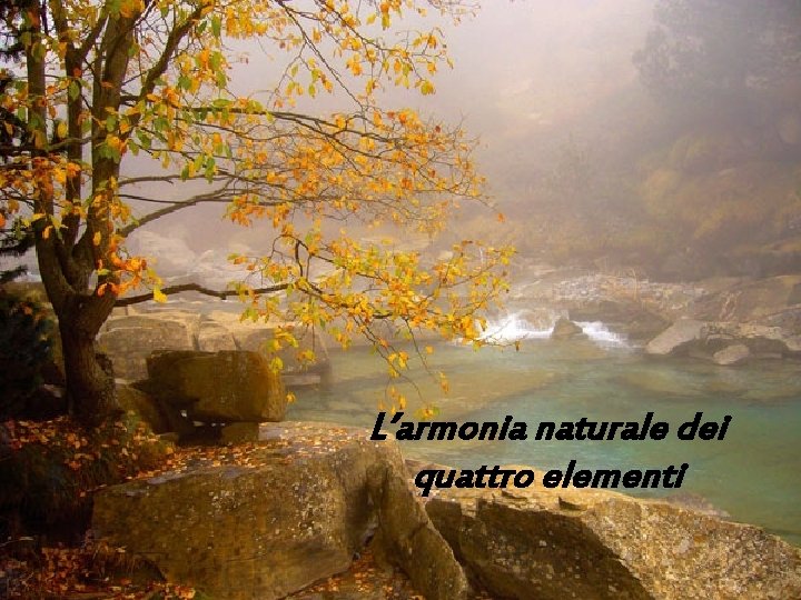 L’armonia naturale dei quattro elementi 
