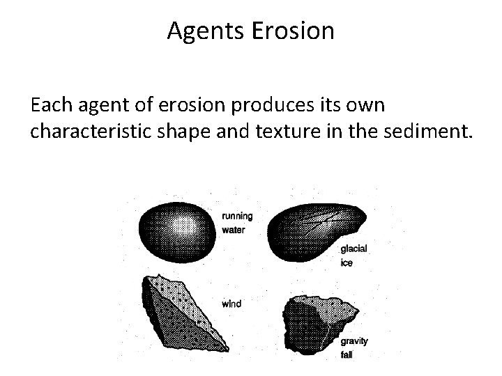 Agents Erosion Each agent of erosion produces its own characteristic shape and texture in