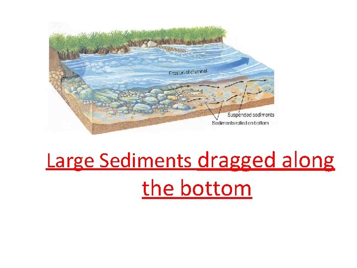 : Large Sediments dragged along the bottom 