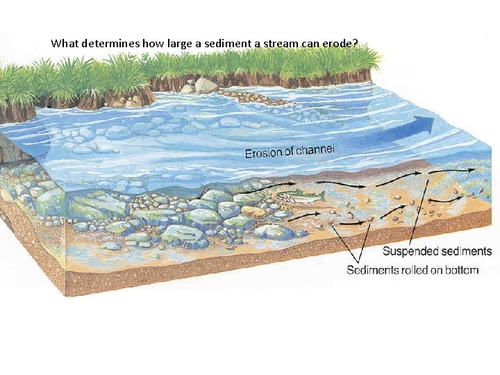 What determines how large a sediment a stream can erode? 