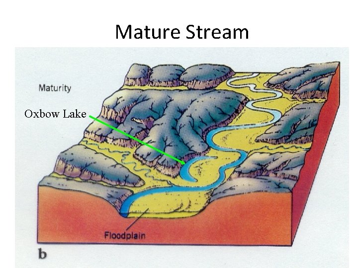 Mature Stream Oxbow Lake 