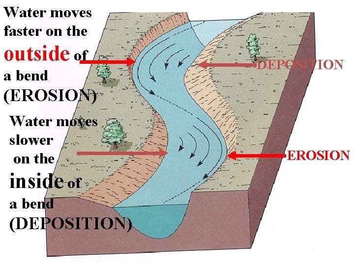 Water moves faster on the outside of a bend DEPOSITION (EROSION) Water moves slower