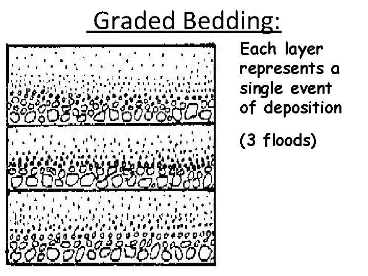 Graded Bedding: Each layer represents a single event of deposition (3 floods) 