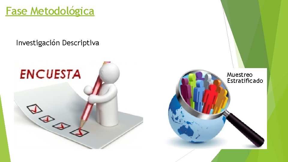 Fase Metodológica Investigación Descriptiva Muestreo Estratificado 