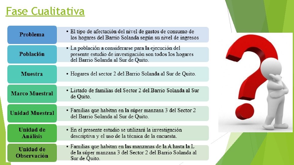 Fase Cualitativa 