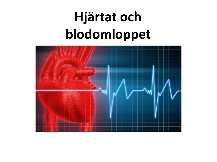 Hjärtat och blodomloppet Hjärtat & Blodomloppet 