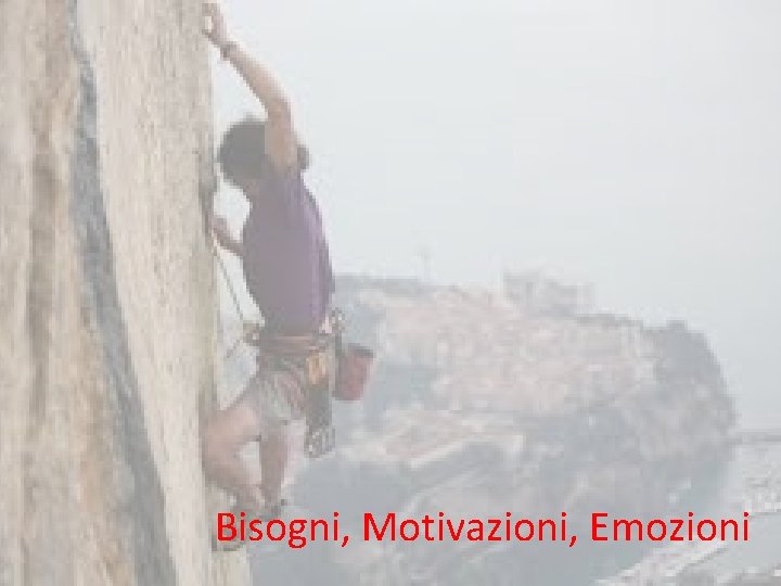 Bisogni, Motivazioni, Emozioni 