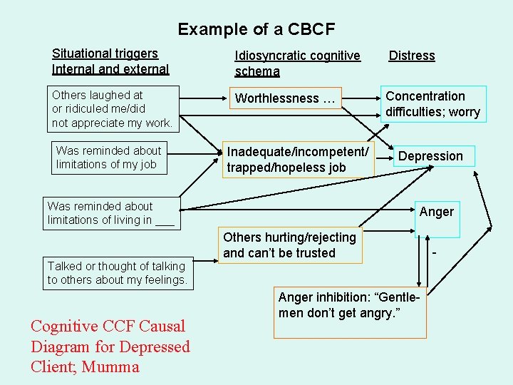 Example of a CBCF Situational triggers Internal and external Idiosyncratic cognitive schema Distress Others