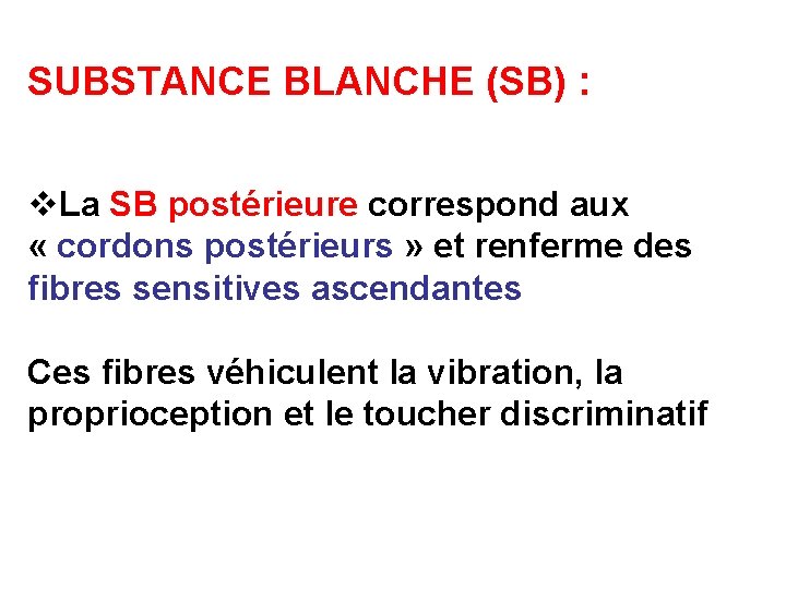 SUBSTANCE BLANCHE (SB) : v. La SB postérieure correspond aux « cordons postérieurs »