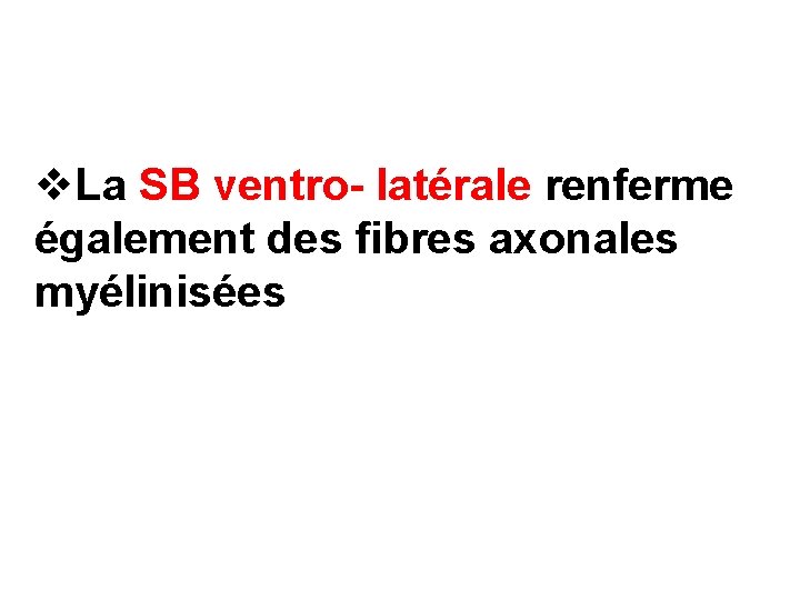 v. La SB ventro- latérale renferme également des fibres axonales myélinisées 