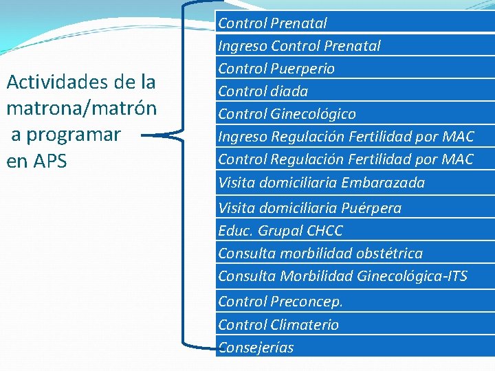 Actividades de la matrona/matrón a programar en APS Control Prenatal Ingreso Control Prenatal Control