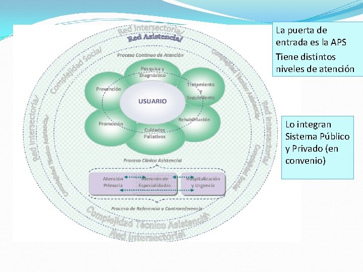 La puerta de entrada es la APS Tiene distintos niveles de atención Lo integran