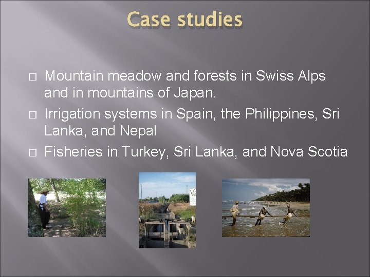 Case studies � � � Mountain meadow and forests in Swiss Alps and in