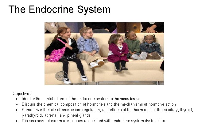 The Endocrine System Objectives: ● Identify the contributions of the endocrine system to homeostasis