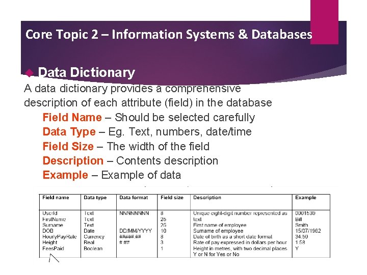 Core Topic 2 – Information Systems & Databases Data Dictionary A data dictionary provides