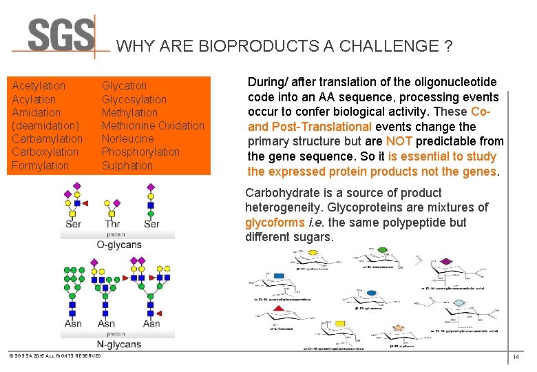 WHY ARE BIOPRODUCTS A CHALLENGE ? Acetylation Acylation Amidation (deamidation) Carbamylation Carboxylation Formylation Glycosylation