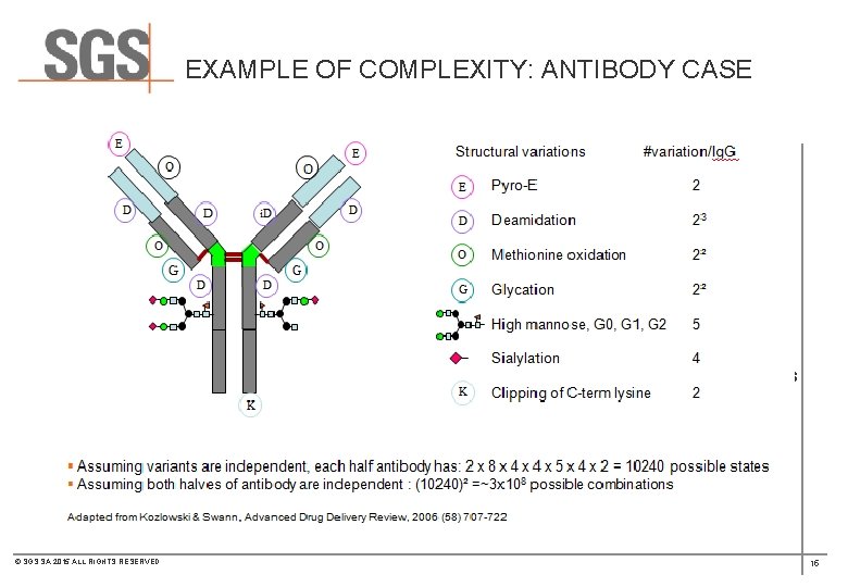 EXAMPLE OF COMPLEXITY: ANTIBODY CASE · Mass spectrometry of intact protein and released L