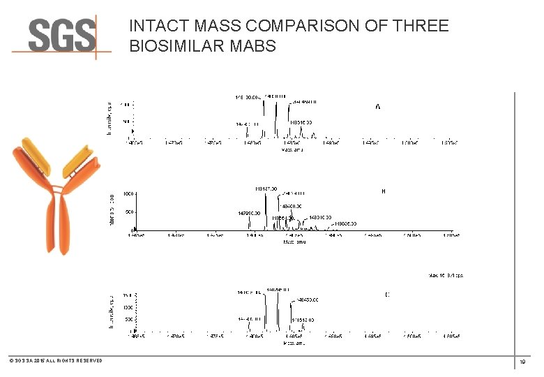 INTACT MASS COMPARISON OF THREE BIOSIMILAR MABS © SGS SA 2015 ALL RIGHTS RESERVED