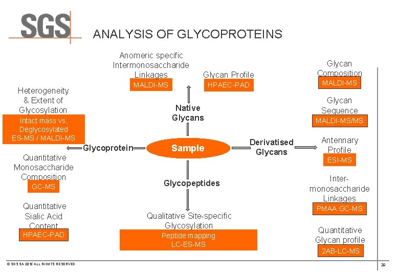 ANALYSIS OF GLYCOPROTEINS Anomeric specific Intermonosaccharide Linkages Glycan Profile MALDI-MS HPAEC-PAD Heterogeneity & Extent