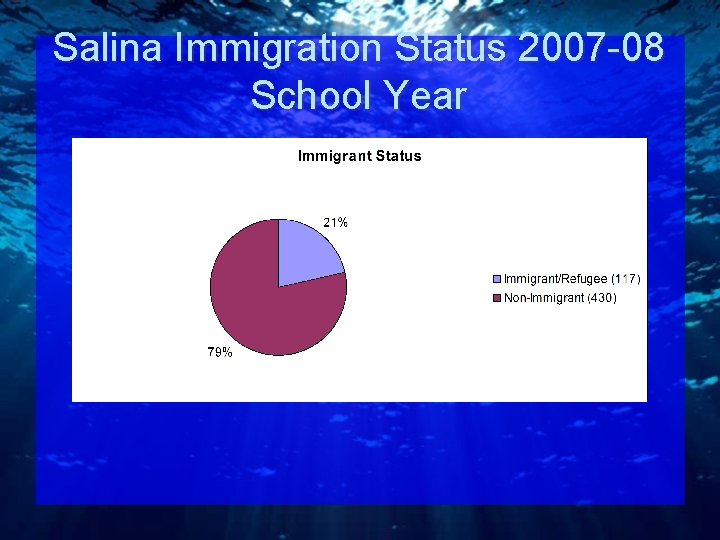 Salina Immigration Status 2007 -08 School Year 