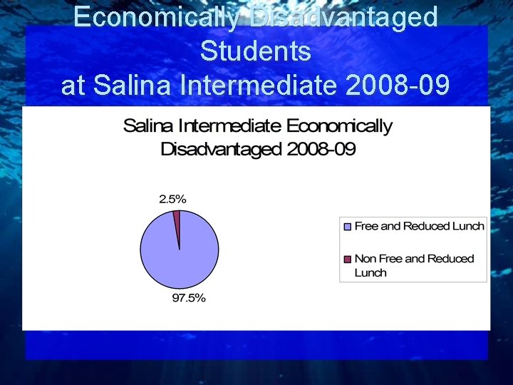 Economically Disadvantaged Students at Salina Intermediate 2008 -09 