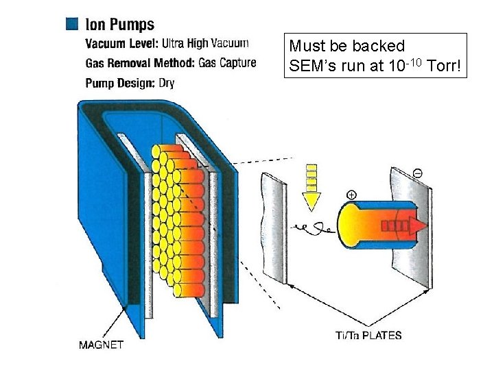 Must be backed SEM’s run at 10 -10 Torr! 